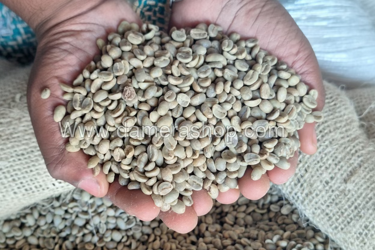 coffee beans green 1kg
