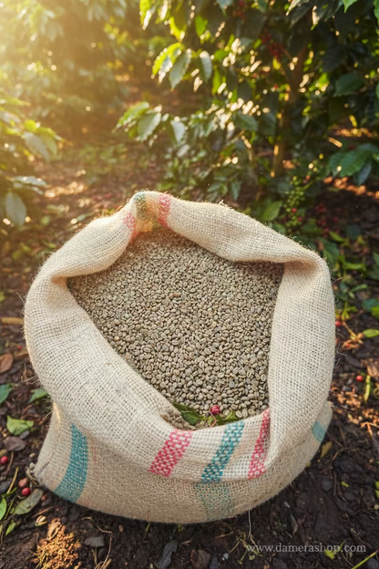 coffee beans green 1kg